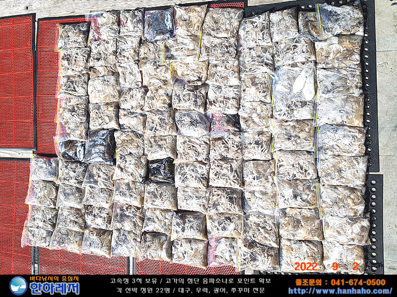 o_1gbum3lpb12g1l251j8m92i4q1g.jpg