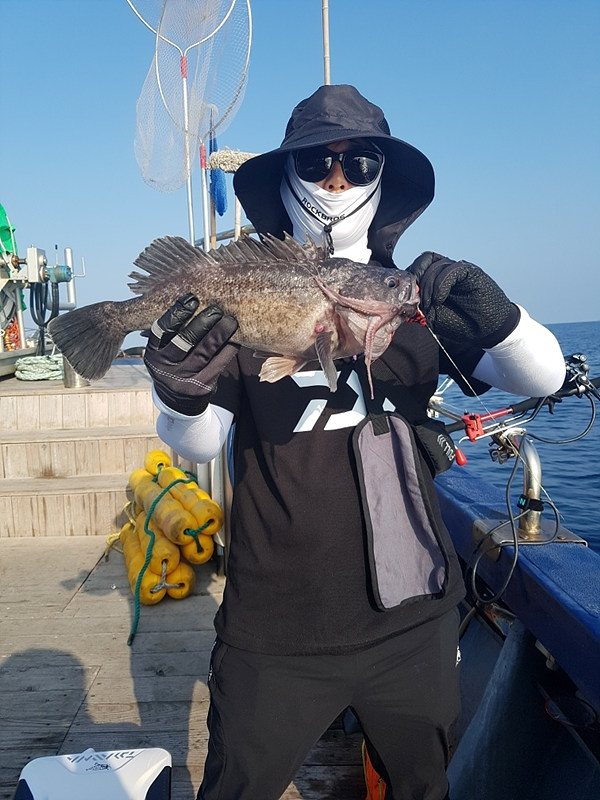 o_1i5akrb931ud1kv71p721fof1qso1g.jpg